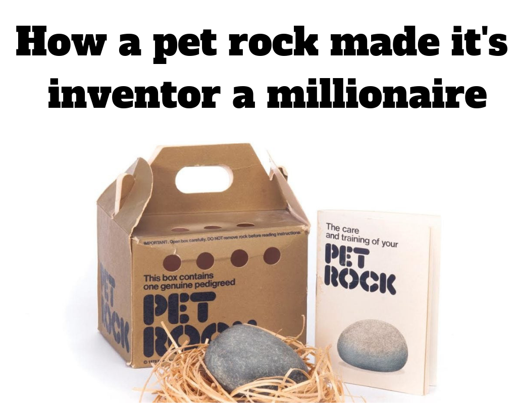 how a pet rock made its inventor a millionaire