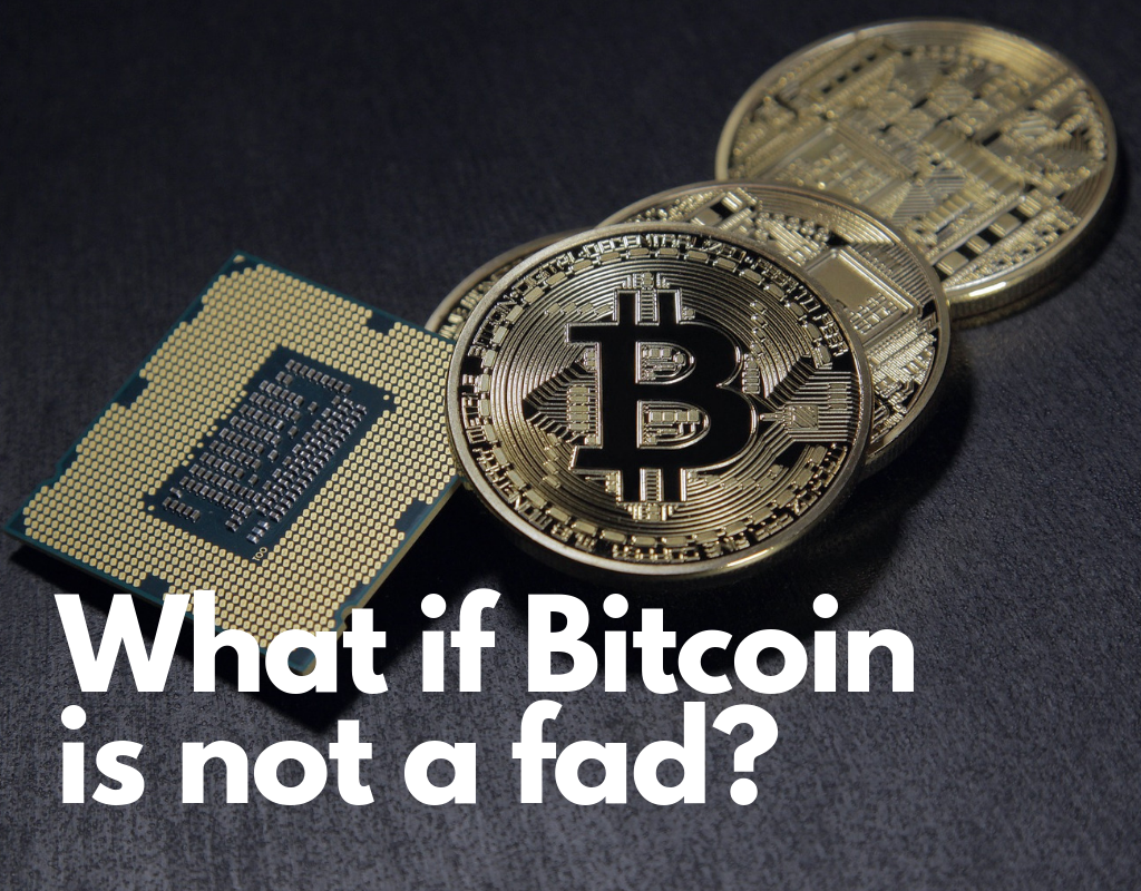 what if bitcoin is not a fad