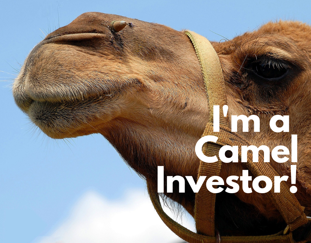 camel investment with Agrikaab