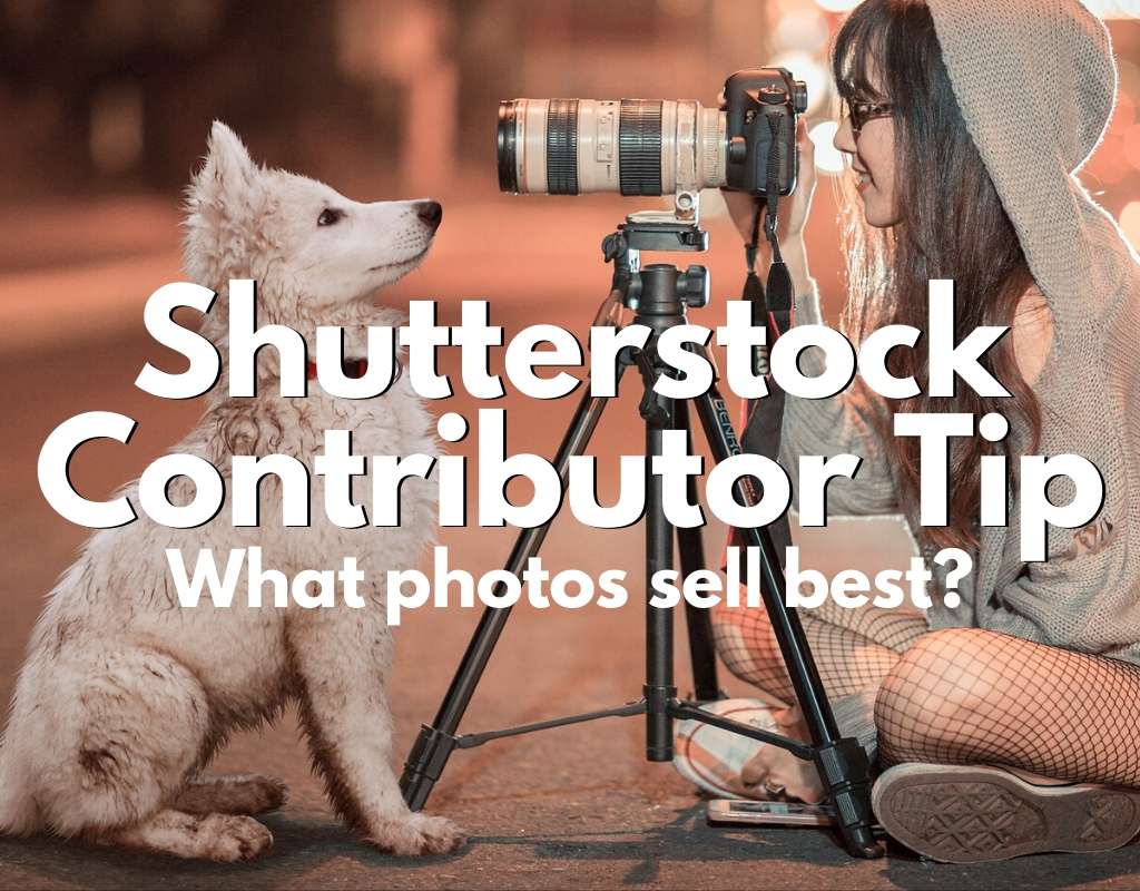 Shutterstock Contributor Tip - what photos sell best?