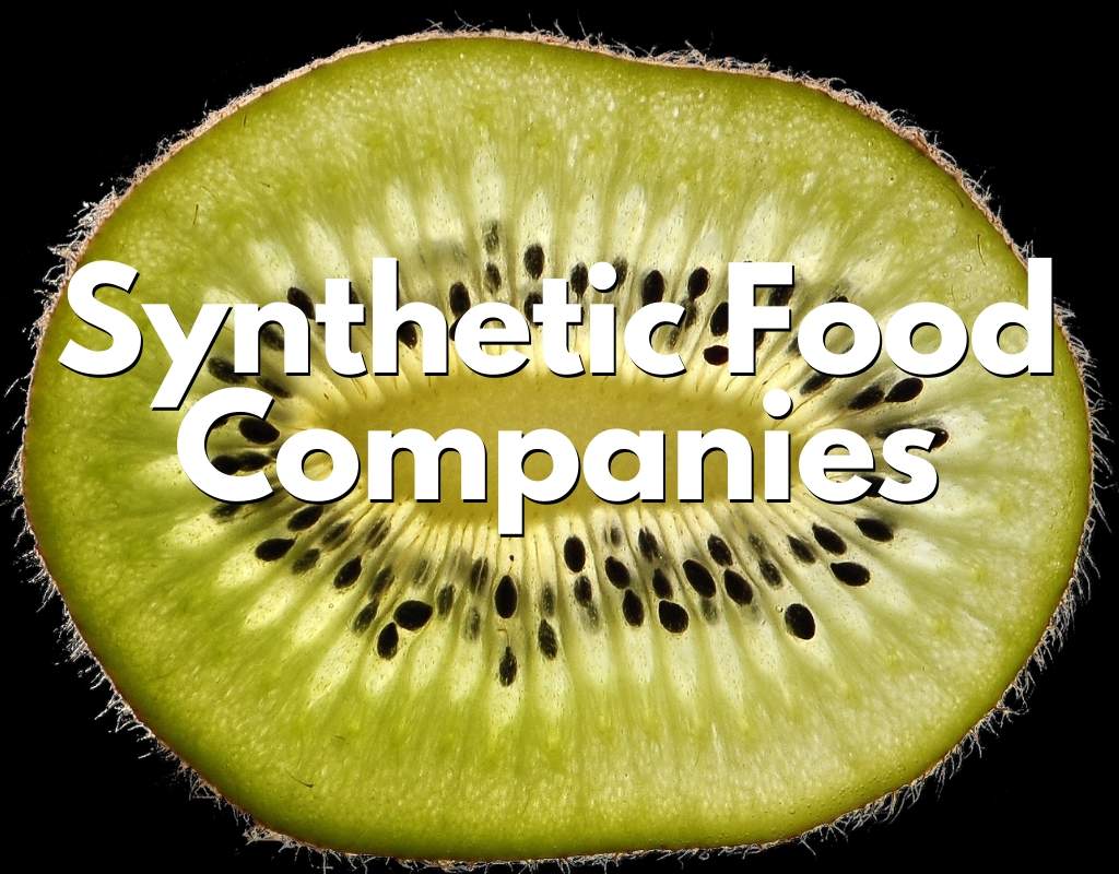 synthetic food companies