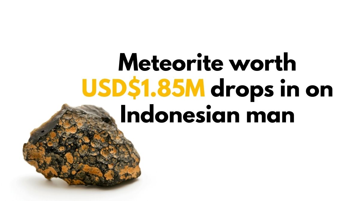 meteorite worth millions
