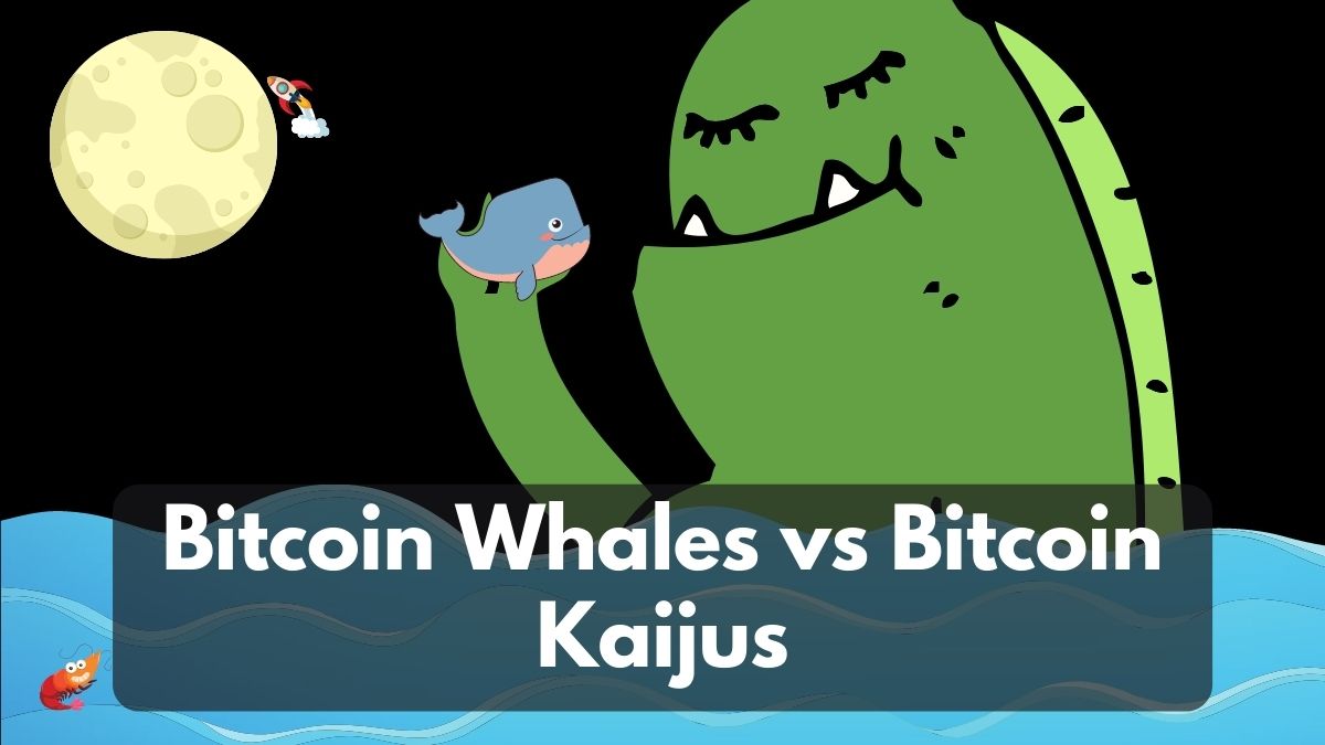 bitcoin whales