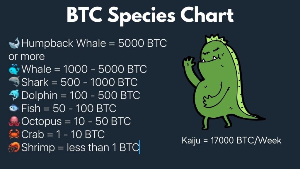 btc species chart