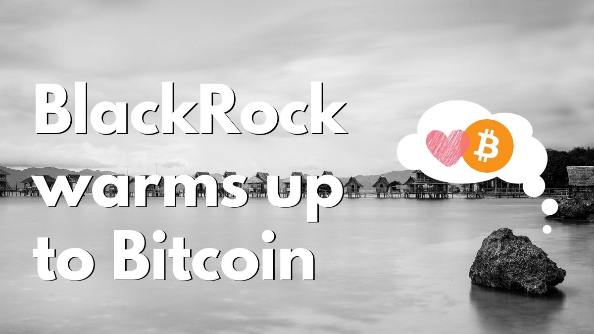 BlackRock warms up to bitcoin