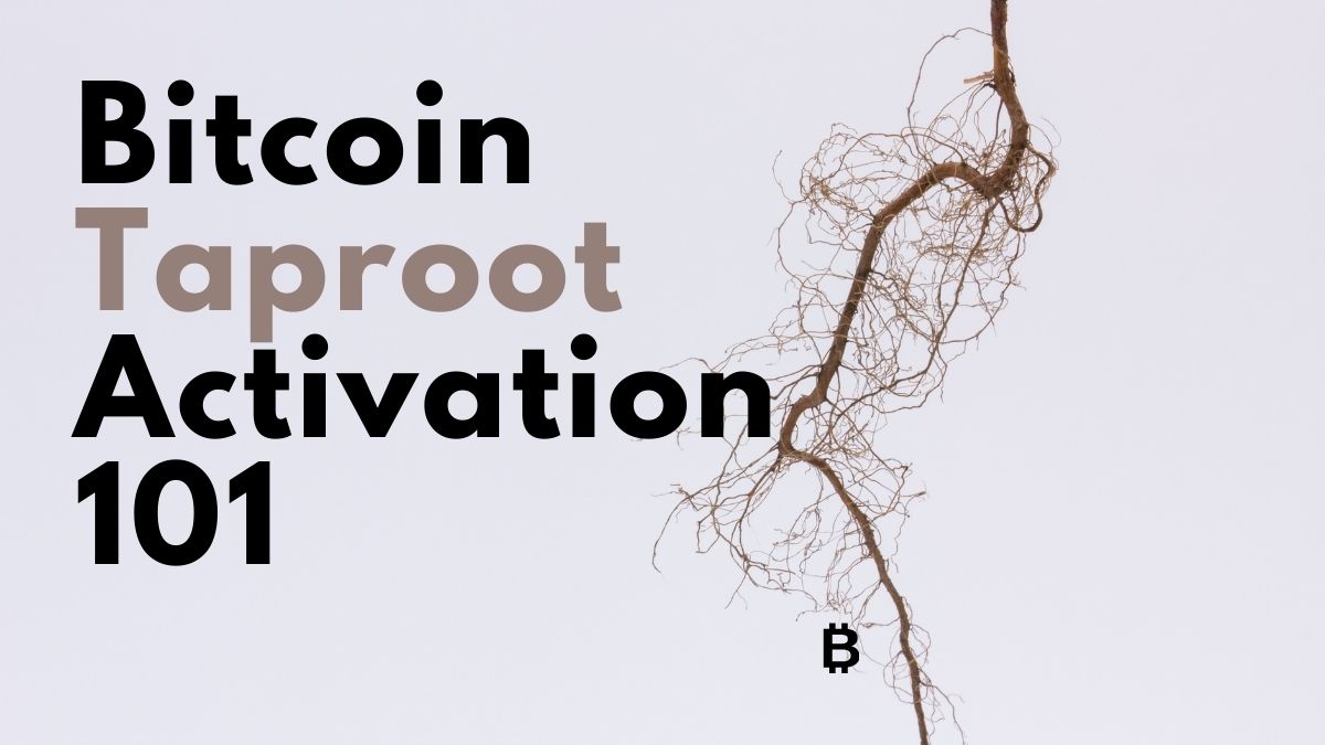 Bitcoin taproot activation 101