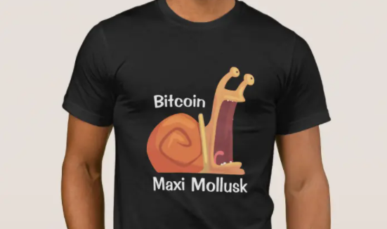 Bitcoin maxi tshirt