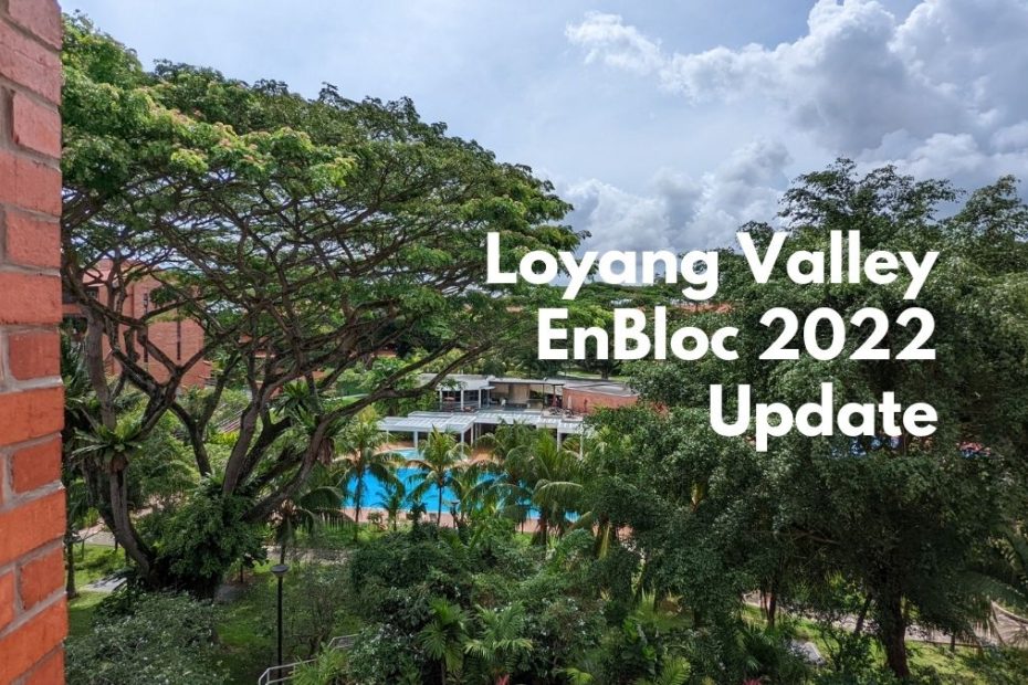 Loyang Valley En Bloc 2022 update