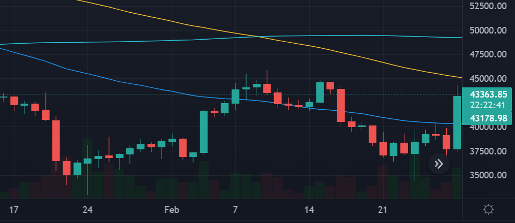 Bitcoin daily candle Feb 2022