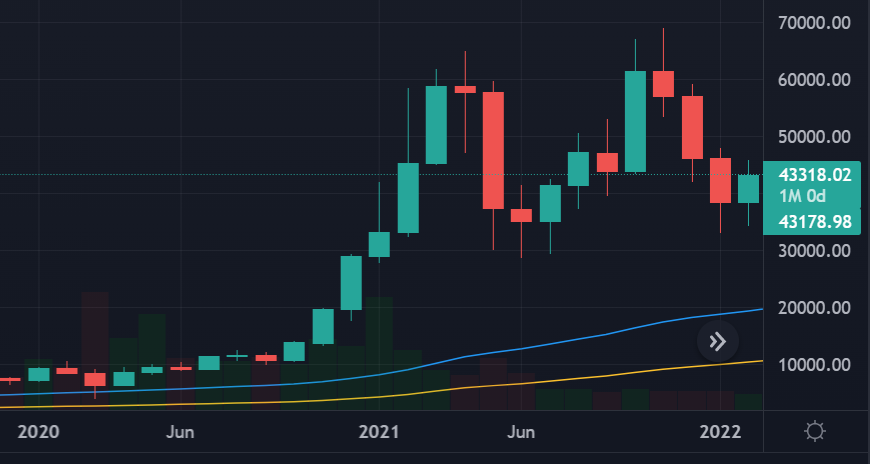 Bitcoin monthly candle Feb 2022