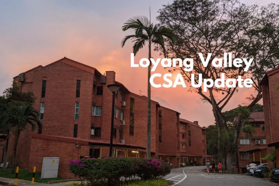 Loyang Valley CSA Update
