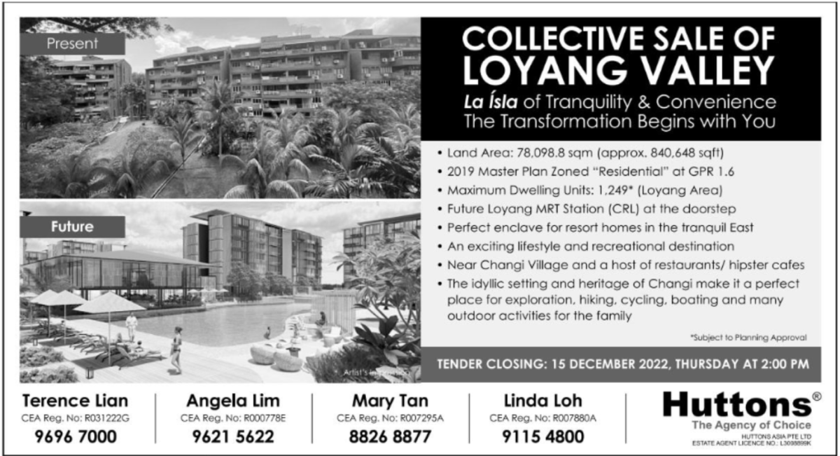 Loyang Valley En Bloc Developer Pitch