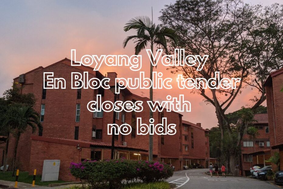 Loyang Valley En Bloc tender closes with no bids